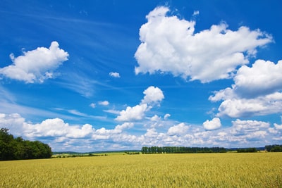 Bildquelle: Michael Mohr pixelio de