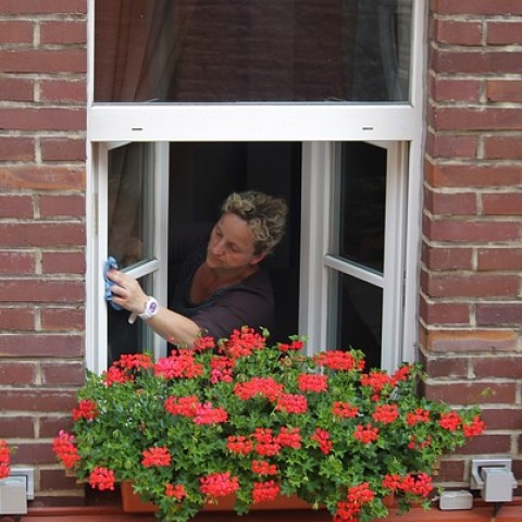 Vermeiden Sie diese 4 Fehler bei der Fensterreinigung